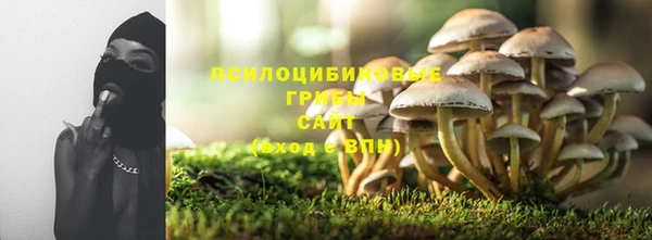 бошки Надым