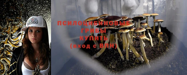 бошки Надым