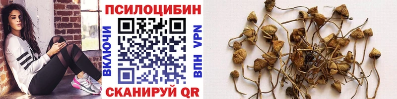 Псилоцибиновые грибы Psilocybine cubensis  магазин    Энем 