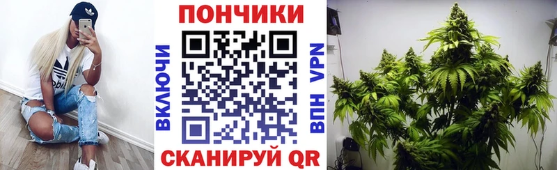 хочу   Энем  МАРИХУАНА ГИДРОПОН 